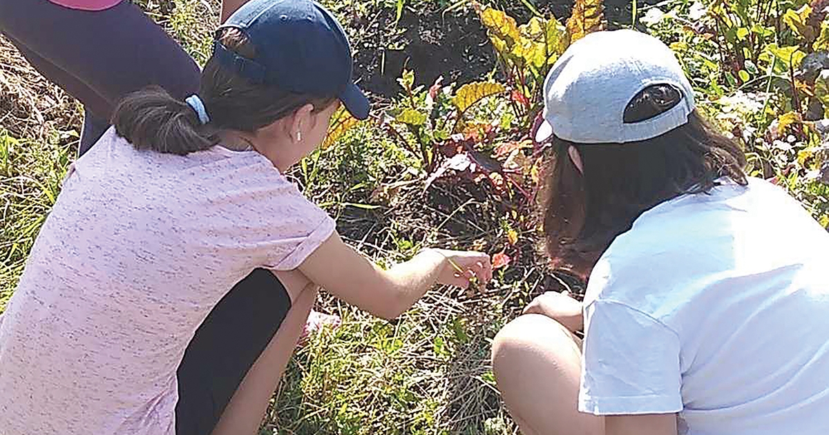 Változik a Mintagazda-program